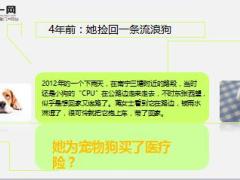 宠物狗买了医疗险家庭更需要保险防范风险11页.ppt