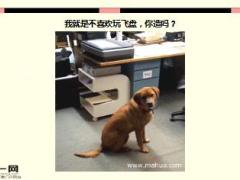 每日快乐早会16年4月6日使用15页.ppt