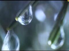 视频友邦保险胡芳红个人宣传片.rar