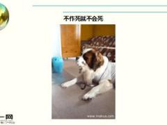 每日快乐早会16年4月11日使用15页.ppt