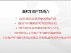 国寿鑫E两全保险万能型产品介绍及网络销售操作说明模板19页.ppt