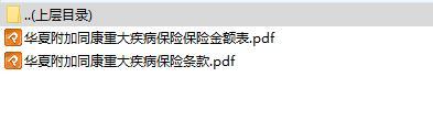 华夏附加同康重大疾病保险条款费率.rar