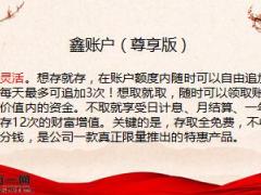 余额宝讲国寿尊享版鑫账户5页.ppt