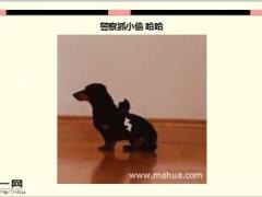 每日快乐早会16年4月12日使用15页.ppt