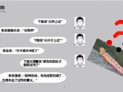每日正能量早会故事毛毛虫是怎么过河的8页.ppt