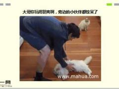 每日快乐早会16年4月13日使用15页.ppt