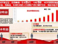 职训课件3国寿鑫福一生目标市场11页.ppt
