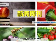 新闻周刊4月9至4月15日20页.ppt