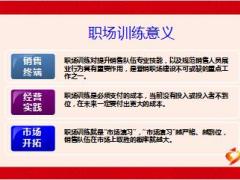 职场训练专家门诊实操及小结15页.ppt