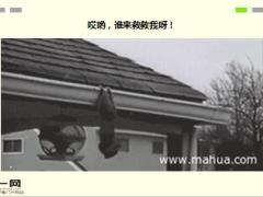 每日快乐早会16年4月20日使用15页.ppt