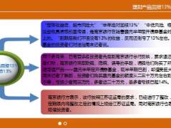 买银行理财产品居然也能亏百分之13钱13页.ppt