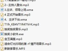 保险公司产说会配套音乐.rar