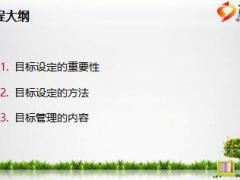 电销TSR目标设定与目标管理16页.ppt