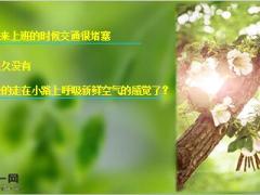 保险公司生日早会最初的梦想13页.ppt