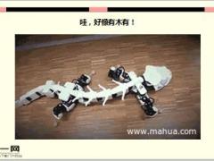 每日快乐早会16年4月22日使用15页.ppt