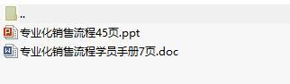 专业化销售流程课件及学员手册.rar