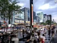 视频基因检测宣导中国人寿版.rar