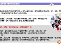 上海著名企业家冠生园董事长被猴子蹬下的石块砸死10页.ppt
