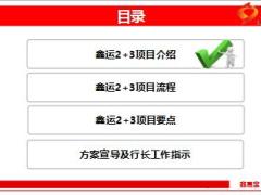 国寿鑫运3加20项目介绍流程要点方案30页.ppt