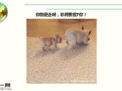 每日快乐早会16年4月25日使用15页.ppt