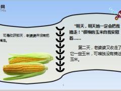 每日正能量早会故事最棒的玉米最棒的你7页.ppt