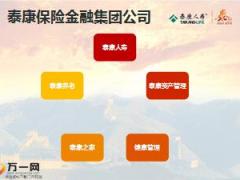 2016泰康人寿保险公司介绍18页.ppt