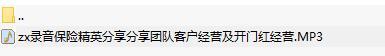 录音保险精英分享分享团队客户经营及开门红经营.rar