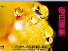 每日新闻早会资讯2016年5月2日早会使用18页.ppt