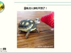 每日快乐早会16年5月3日使用15页.ppt