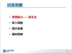 太平洋基本法转正晋升版我的未来我做主32页.ppt