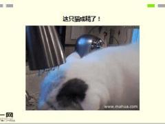 每日快乐早会16年5月4日使用15页.ppt