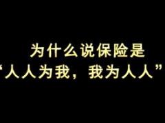 视频为什么保险是人人为我我为人人.rar