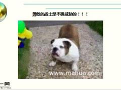 每日快乐早会16年5月6日使用15页.ppt