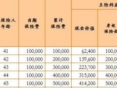华夏富贵竹投保建议书3页.rar