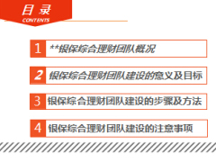 如何快速组建银保综合理财团队28页.ppt