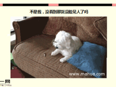 每日快乐早会16年5月10日使用15页.ppt