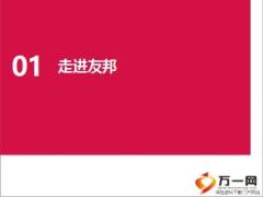 友邦保险公司介绍2015版28页.ppt