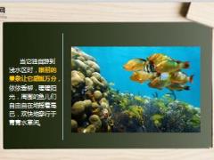 每日早会故事米罗虾之死6页.ppt