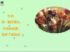每日心灵鸡汤生活就是生下来活下去.rar