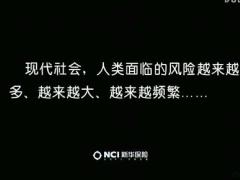 视频新华保险风险视频等爱的人.rar