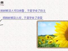 每日心灵鸡汤忍受不了痛苦怎能见到幸福.rar