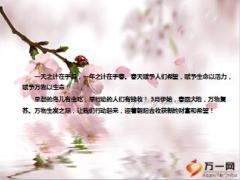 太平洋人寿花样年华快速获客销售方法团队个人行动篇15页.ppt