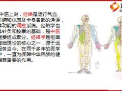 新华有爱健康先行二季度健康体检项目简介17页.ppt