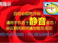 2016年6月半年度冲刺启动会流程方案宣导33页.ppt
