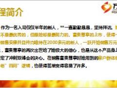 绩优分享我眼中的百年人寿富贵尊享19页.ppt