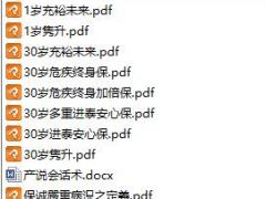 香港保险重点产品计划书样本.rar
