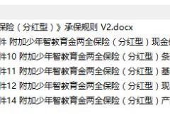 太保寿附加少年智教育金两全保险条款费率价值表说明书.rar