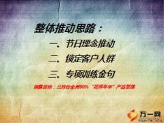 太保花样年华快速获客销售整体推动思路13页.ppt