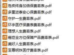 香港保险主推产品费率表.rar