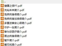 香港保险主推产品简介彩页.rar